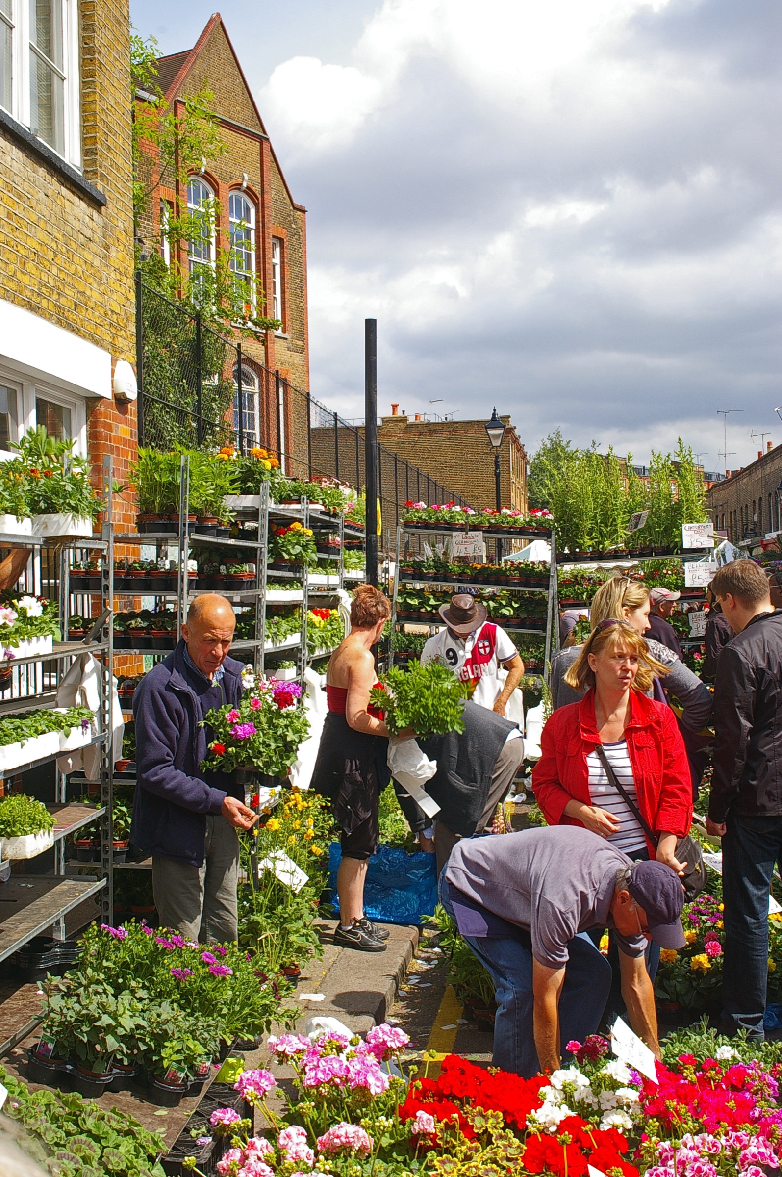 Buckets of flowers for sale on Columbia Road on a Sunday morning